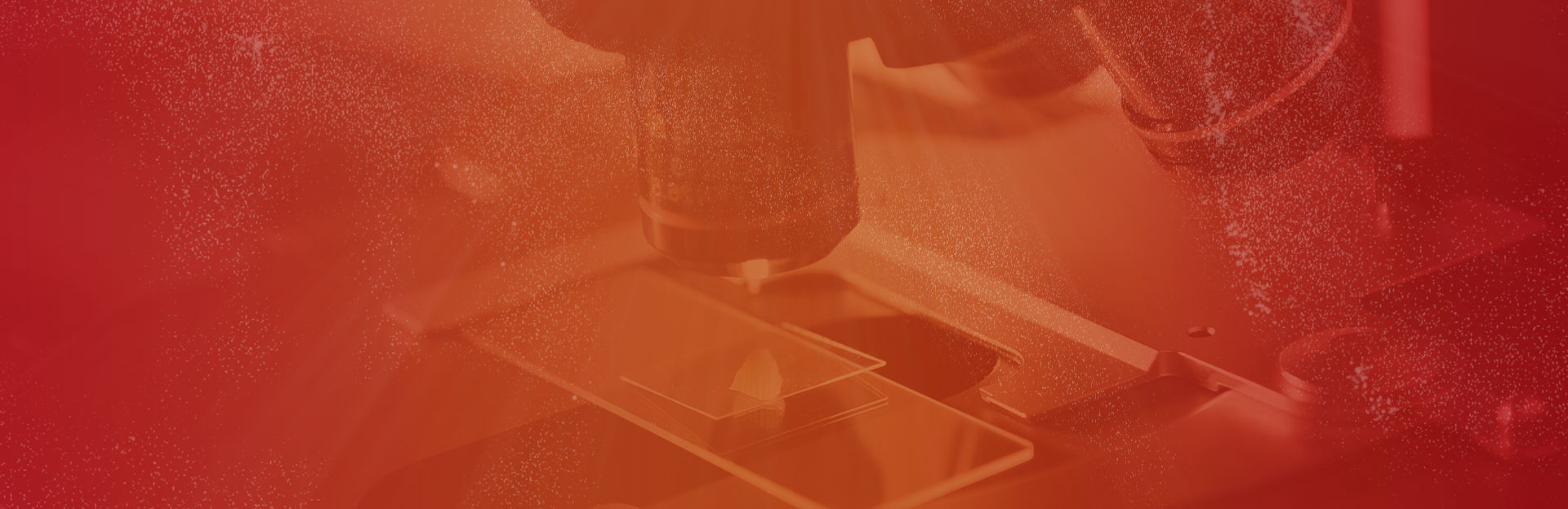 microscopes